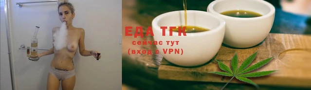 индика Киреевск
