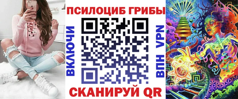 Псилоцибиновые грибы мицелий  где можно купить   Троицк 